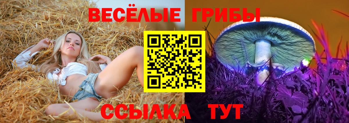 Псилоцибиновые грибы мицелий  Галлюциногенные грибы MAGIC MUSHROOMS  Красноармейск  Вход с VPN 